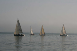 Al pan, pan, y al vino, vino, en los despidos del CEAR