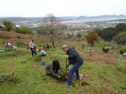 Bosques de Cantabria plantar&aacute; este mes 2.000 &aacute;rboles en Colindres junto a voluntarios