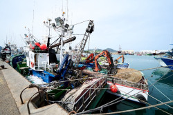 Cantabria exige a la UE y al Ministerio ayudas inmediatas para los pescadores de verdel