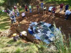 Cantur y Bosques de Cantabria acondicionan zonas de charca para anfibios en el Parque de Cab&aacute;rceno
