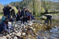 Desde 2019 se ha soltado  un mill&oacute;n de ejemplares de alevines de trucha y salmon