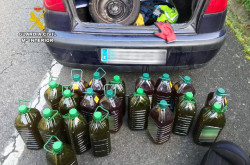 Detenidos en Cantabria tres j&oacute;venes de Vizcaya por robar 20 garrafas con 100 litros de aceite de oliva