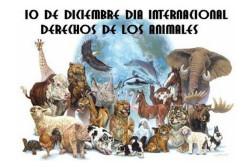 D&iacute;a Internacional de los Derechos de los Animales