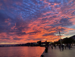 "Donald Trump es el quitamiedos entre Israel y Gaza".&copy;Mariano Cabrero B&aacute;rcena es escritor