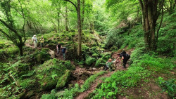 Ecologistas en Acci&oacute;n Cantabria denuncia una ca&iacute;da del 50% en la inversi&oacute;n forestal desde 2005
