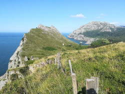 Ecologistas piden al Gobierno priorizar la aprobaci&oacute;n de planes de conservaci&oacute;n de especies y espacios naturales