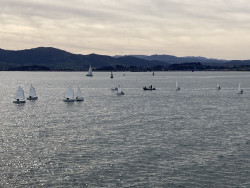 El Chiqui, de Chiqui Garc&iacute;a de Soto y Cesar Arrarte, se hizo con la victoria en una complicada tirada del Snipe Santanderino.