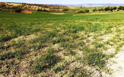 El consejero Oria y la sequ&iacute;a en Cantabria