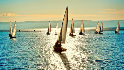 El deporte de la Vela en Espa&ntilde;a propio de rep&uacute;blicas bananeras