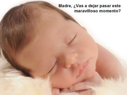 El d&iacute;a de la familia