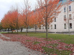 El fiscal pide cinco a&ntilde;os de carcel por robar tres bicicletas en unos garajes de Torrelavega