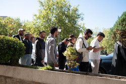 El Gobierno registra 13.500 solicitudes telem&aacute;ticas y acepta 19.633 citas previas en el primer d&iacute;a de la regularizaci&oacute;n