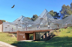 El Parque de Cab&aacute;rceno proyecta un nuevo recinto para incorporar l&eacute;mures este a&ntilde;o