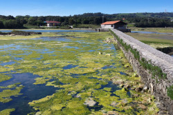 El Parque de las Marismas de Santo&ntilde;a formar&aacute; parte del proyecto de conservaci&oacute;n Life+ Humedales