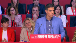 &iexcl;El PSOE ha muerto, viva el sanchismo!       Carlos Magdalena