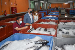 El puerto de Santo&ntilde;a registra una de las mayores descargas de bonito, con m&aacute;s de 230.000 kilos en un d&iacute;a