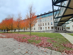 El TSJC confirma el derecho de una trabajadora con reducci&oacute;n de jornada a cobrar &iacute;ntegramente dos complementos