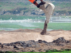 El TSJC ordena la paralizaci&oacute;n cautelar del relleno de las marismas de Raos, que ya se ha realizado