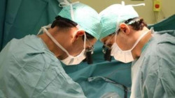 El valor de las manos   Por Juan Goti Orde&ntilde;ana  Catedr&aacute;tico jubilado de la Universidad de Valladolid