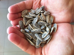 El verano de las tres &ldquo;P&eacute;s&rdquo;