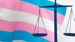 Error y consecuencias de la LEY TRANS  Por Juan Goti Orde&ntilde;ana  Catedr&aacute;tico jubilado de la Universidad de Valladolid