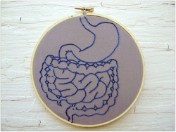 F&aacute;rmacos comunes se acumulan en las bacterias intestinales, lo que puede reducir su eficacia y alterar el microbioma