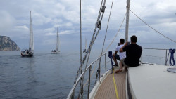 Gij&oacute;n acoger&aacute; el acto de Alianza de las localidades del Camino de Santiago a Vela en su d&eacute;cimo aniversario