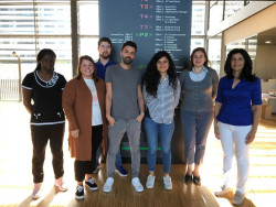 Investigadores descubren una nueva v&iacute;a de se&ntilde;alizaci&oacute;n celular clave en el abordaje del gigantismo