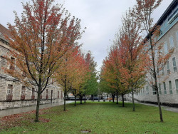 La Audiencia juzga hoy a un hombre por abusar de una compa&ntilde;era de trabajo