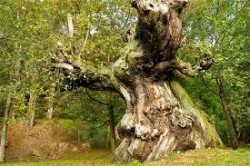 La climatolog&iacute;a de Cantabria es un lujo para nuestros visitantes