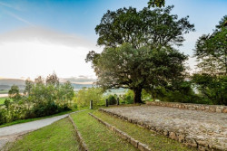 La encina de Colindres representar&aacute; a Espa&ntilde;a como candidata a mejor &aacute;rbol de Europa 2023