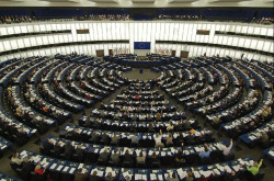 La Euroc&aacute;mara pide  eliminar la  protecci&oacute;n de lobos y osos para defender al ganado