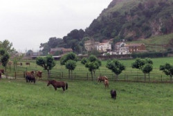 La finca de la Remonta