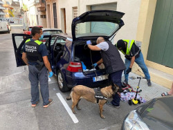 La Guardia Civil detiene a 22 personas por tr&aacute;fico de droga en Girona y Barcelona