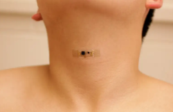 La inteligencia artificial vigila la pandemia silenciosa.   Por Dr. Jos&eacute; Manuel Revuelta Soba  Catedr&aacute;tico de Cirug&iacute;a y Profesor Em&eacute;rito de la Universidad de Cantabria