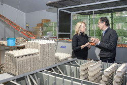 Las granjas de Cantabria no registraron ning&uacute;n caso de gripe aviar durante el confinamiento