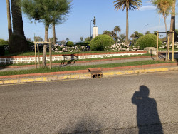 Los primeros veraneantes han llegado a  Santander, las ratas.&nbsp;-I-  Por Carlos Magdalena