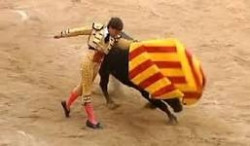 Los toros catalanes desde mi barrera
