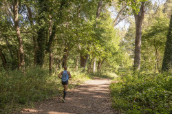 Los trabajos de rehabilitaci&oacute;n del Patatal comenzar&aacute;n de forma "inminente"