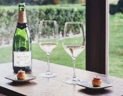 Naltros Brut (Aldi), Vall D`Lluna Brut y Val de Juy Brut (Alcampo), los mejores cavas por menos de 5 euros