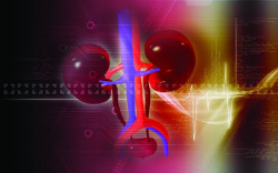 Nuevos descubrimientos sientan las bases para convertir h&iacute;gados de donantes ahora inutilizables en trasplantables