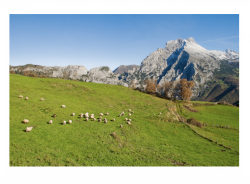 Pedro Velarde, un quesero emprendedor&hellip;, por Pedro Arce D&iacute;ez