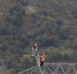 Red El&eacute;ctrica se&ntilde;alizar&aacute; 160 kil&oacute;metros de l&iacute;neas ubicadas en zonas de vuelo del quebrantahuesos en Espa&ntilde;a