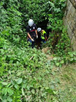Rescatado un hombre de 80 a&ntilde;os tras caer desde un puente en Polaciones