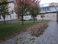 Se enfrenta a tres a&ntilde;os de prisi&oacute;n por portar 18 envoltorios con 7 gramos de coca&iacute;na