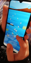 SEO/BirdLife desarrolla dos aplicaciones m&oacute;viles gratuitas para la identificaci&oacute;n y el conteo de aves en Espa&ntilde;a