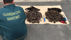 Sorprenden a dos furtivos con m&aacute;s de 20 kilos de percebes en los acantilados de Arnuero