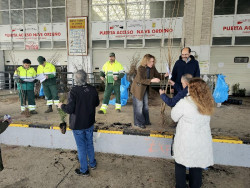 Torrelavega contin&uacute;a el reparto de 2.345 ejemplares solicitados en la Campa&ntilde;a del &Aacute;rbol