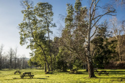 Torrelavega mejorar&aacute; el acceso a La Viesca y los aparcamientos
