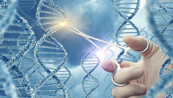 Trasplante cardiaco porcino &iquest;Un tiro en la oscuridad?.   Por Dr.Jos&eacute; Manuel Revuelta Soba